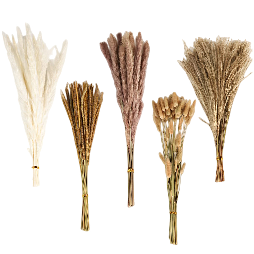 Pampas Grass Decor - Autumn Vintage Mixed Dried Flower Bouquet,