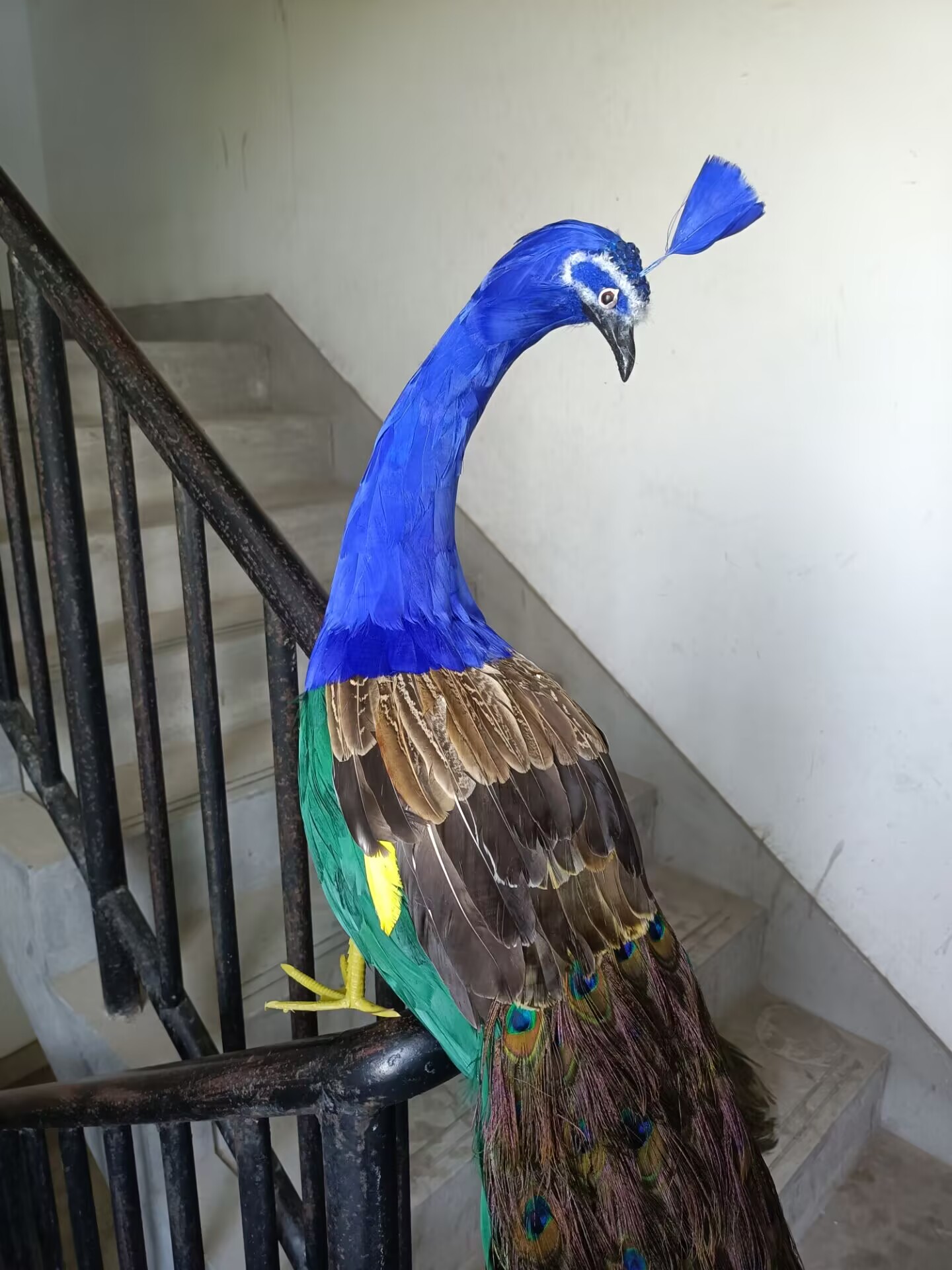 Home Decor Design Ideas - 105cm Realistic Peacock Model Simulation Colorful