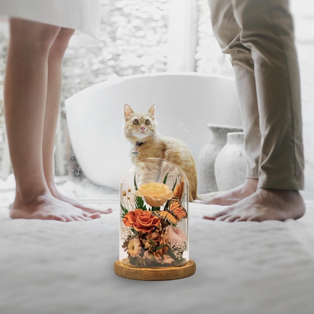 Elegant Preserved Flowers: Tim - Home Decor Tulip recension och pris