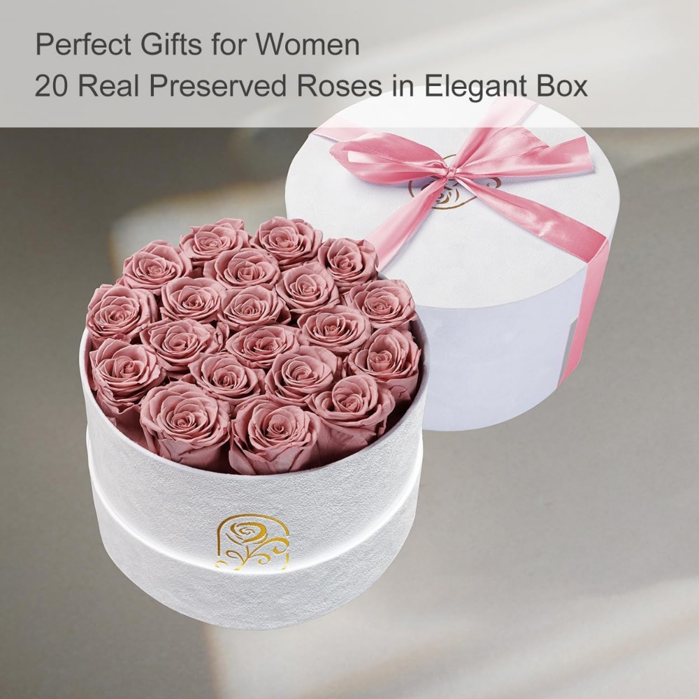Preserved Roses Velvet Box, La - Home Decor Tulip recension och pris