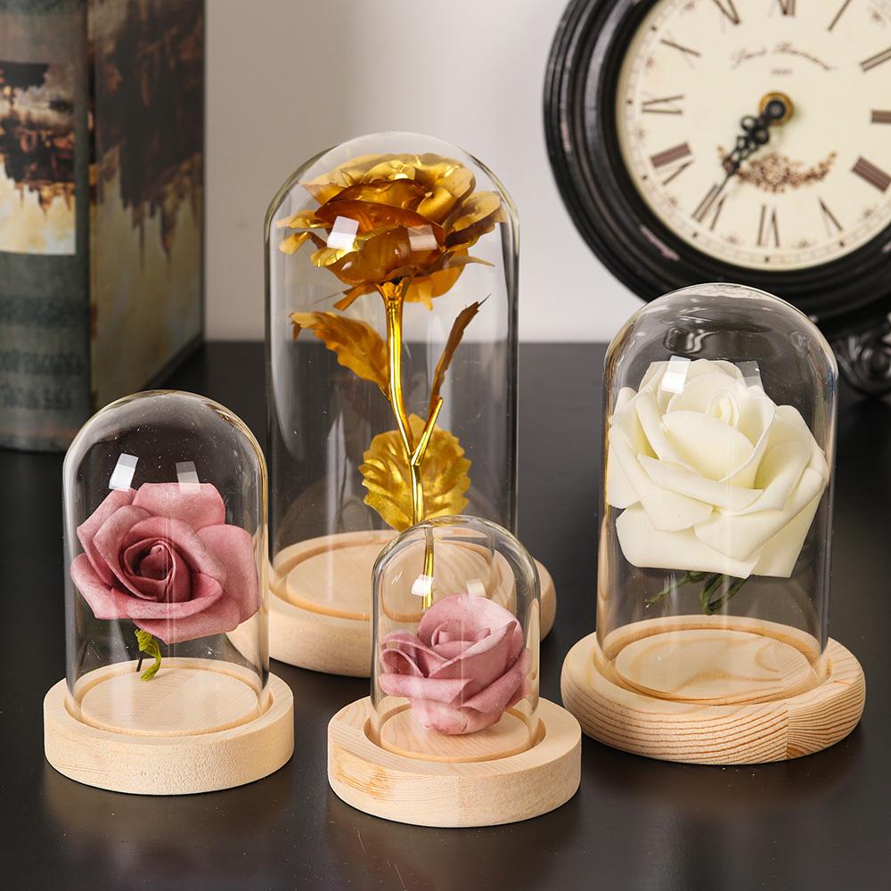 Home Decor Plants Jar Terrariu - Home Decor Glass recension och pris