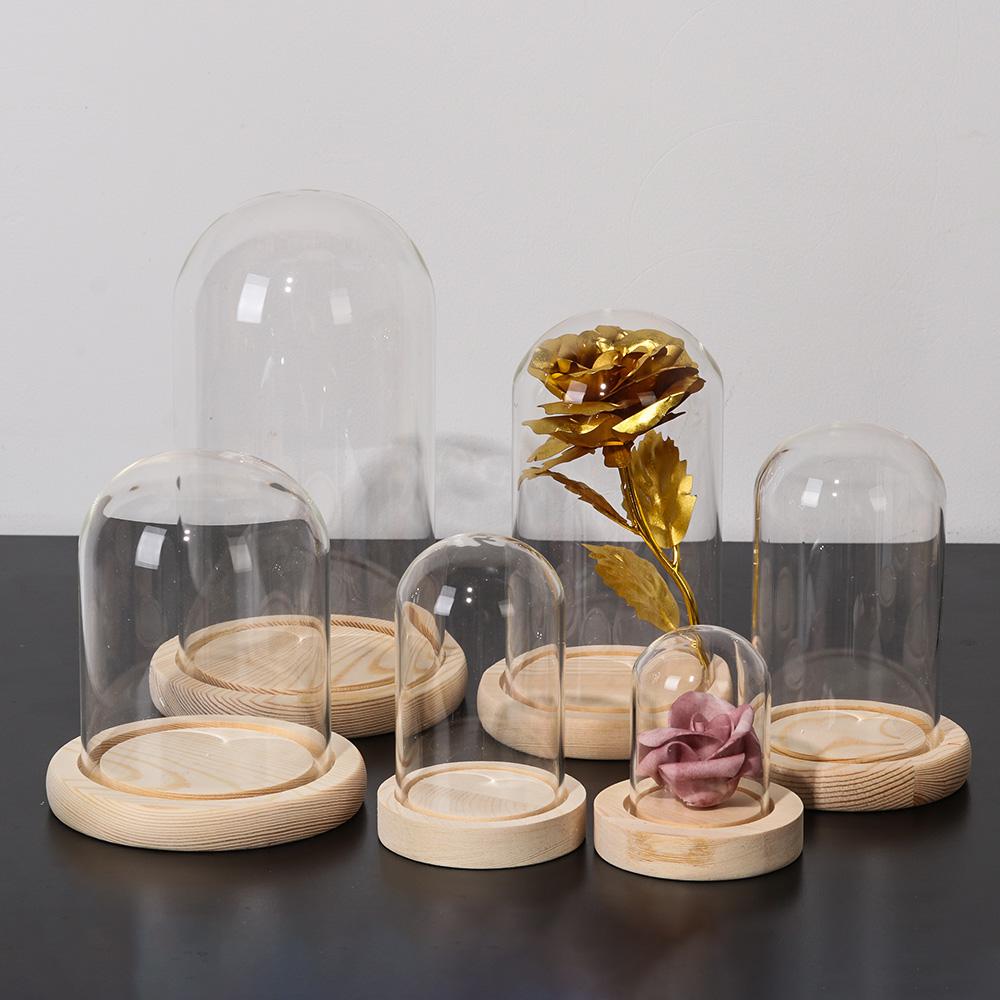 Home Decor Plants Jar Terrariu - Home Decor Glass recension och pris