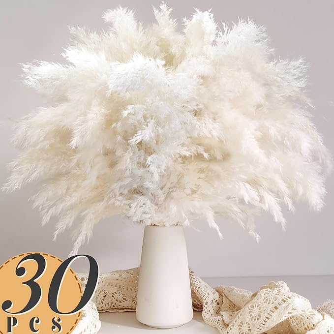 30PCS White Pampas Grass for H - Pampas Grass Decor recension och pris