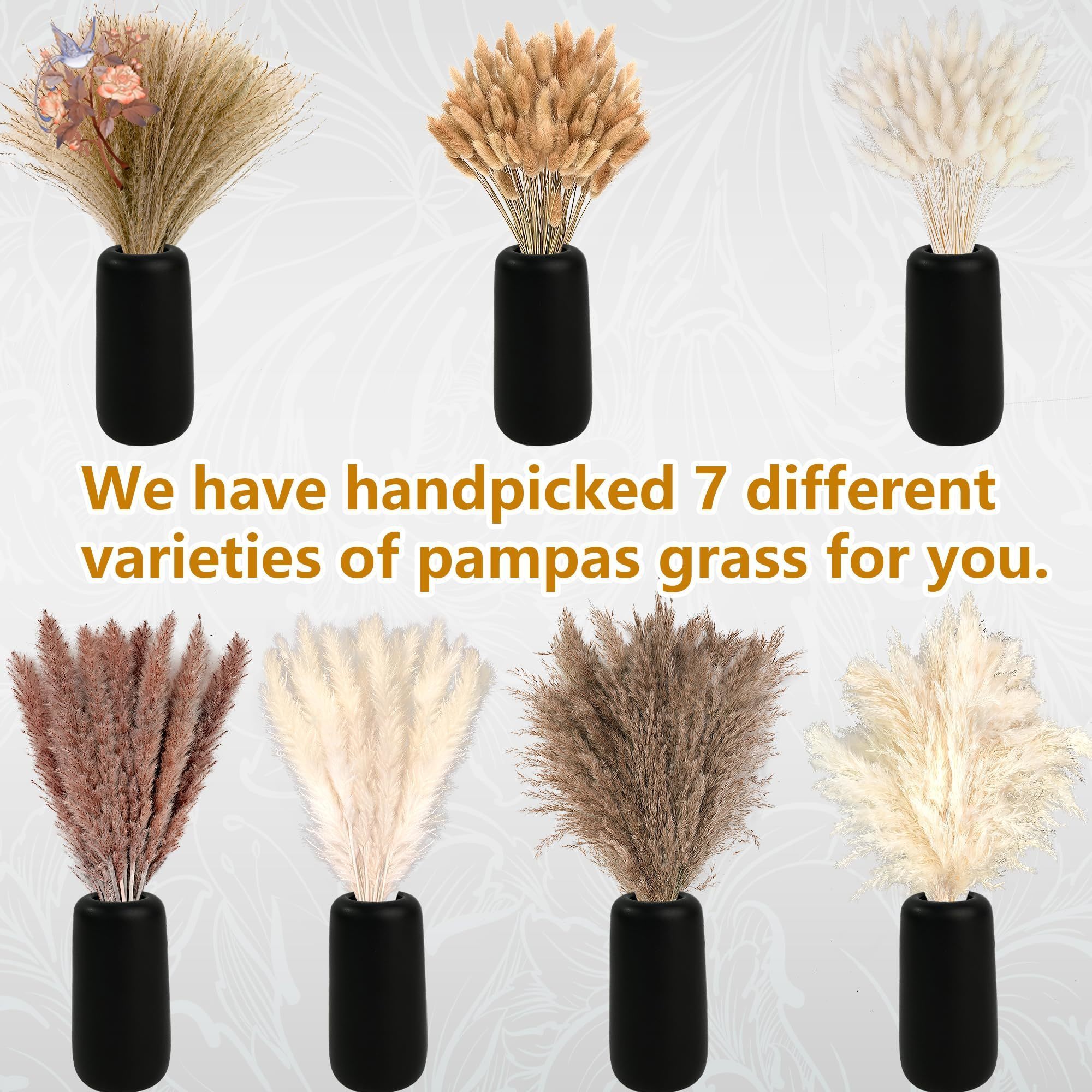 300Pcs Natural Large Pampas Gr - Pampas Grass Decor recension och pris