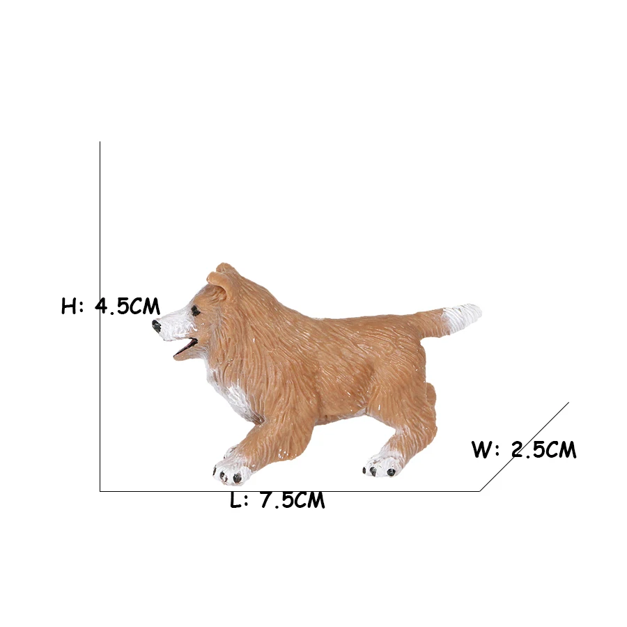 Golden Retriever Corgi Shiba I - Review Home Decor recension och pris