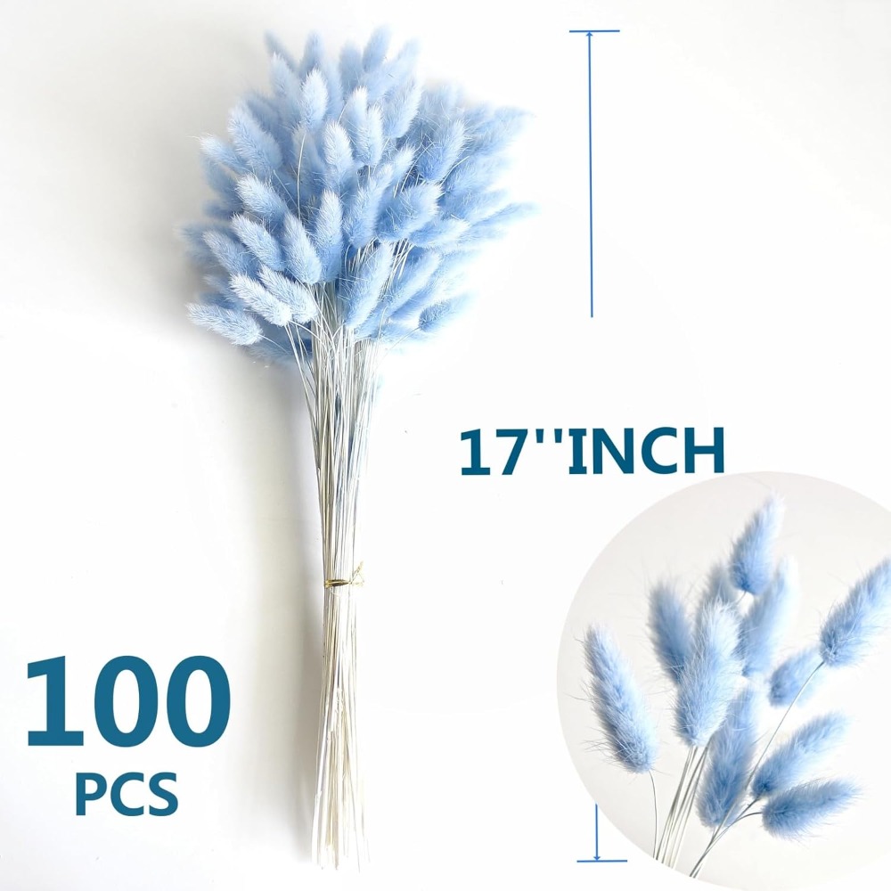 100PCS Blue Hare's-tail Grass  - Pampas Grass Decor recension och pris