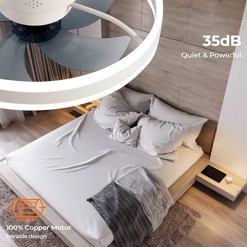LED Ceiling Light Fan With APP - Home Decor App Free recension och pris