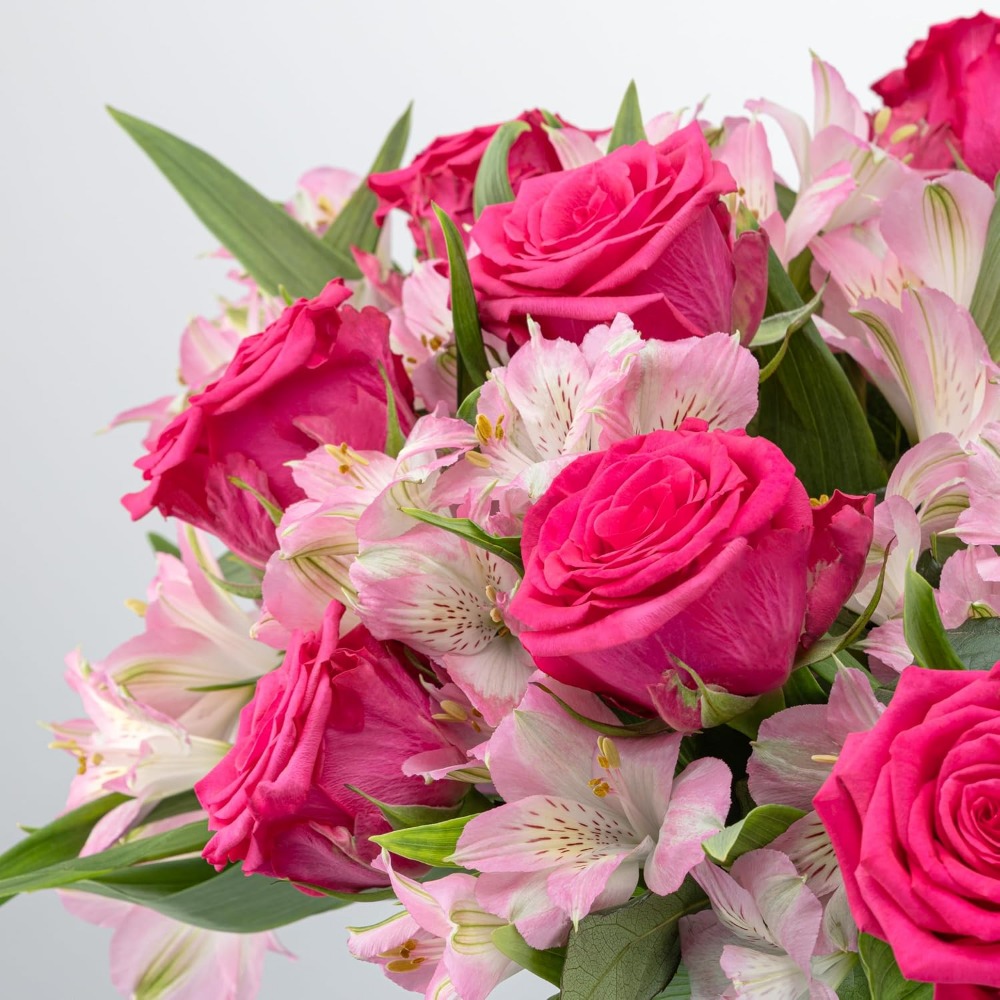 Elegant Rose and Alstroemeria  - Home Decor Tulip recension och pris
