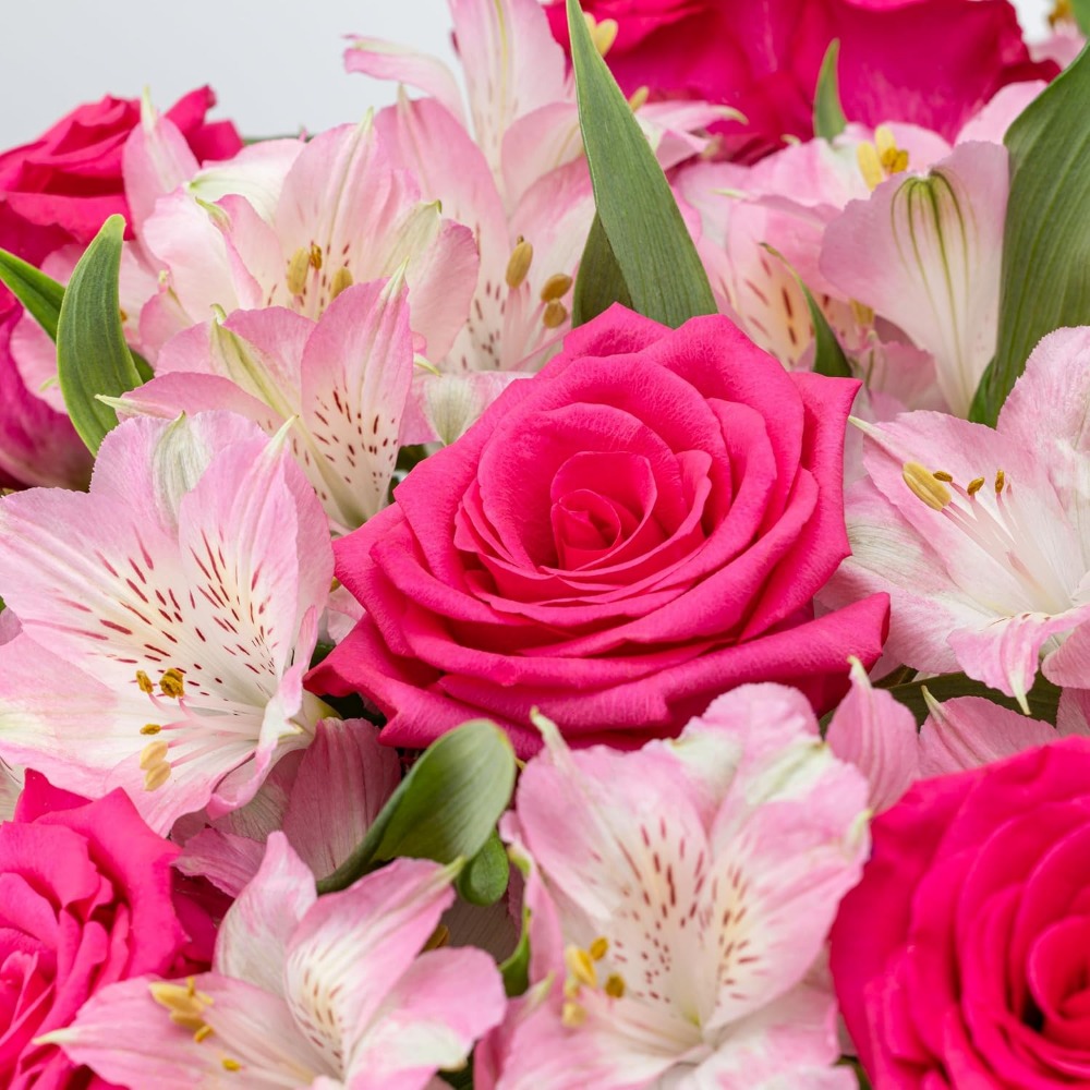 Elegant Rose and Alstroemeria  - Home Decor Tulip recension och pris